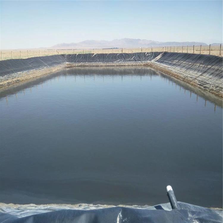 魚(yú)塘土工膜