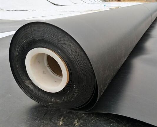 防水專業(yè)土工膜